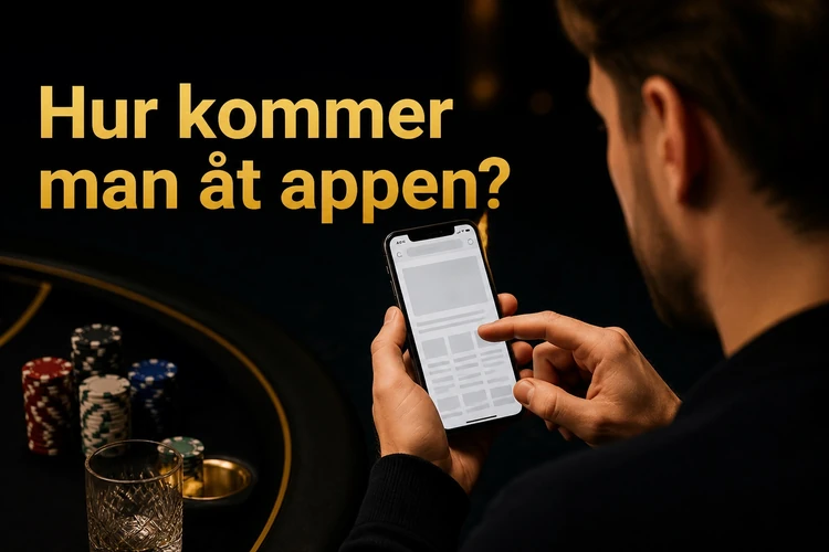Hur kommer man åt appen?
